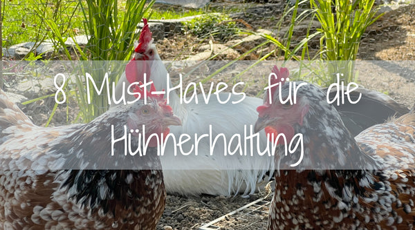 Hier zeige ich dir, was Du auf jeden Fall benötigst, wenn Du Hühner halten möchtest.