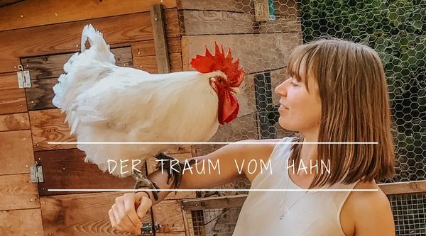 Der Traum vom Hahn kann wahr werden.