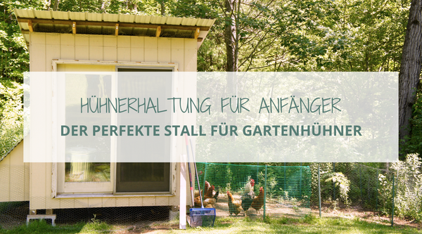 Auf dem Blogbanner ist ein Hühnerstall zu sehen mit der Aufschrift: Hühnerhaltung für Anfänger – Der perfekte Stall für Gartenhühner.
