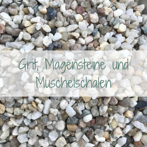 Grit, Magensteine und Muschelschalen