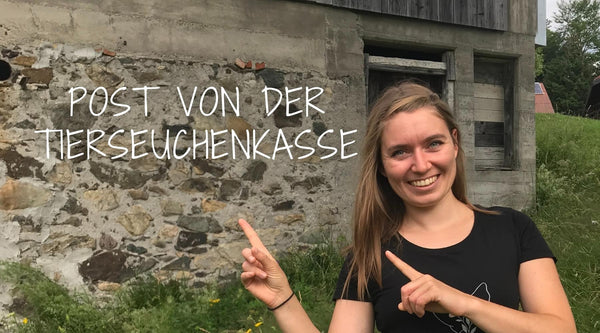 Alle Jahre wieder meldest Du Geflügel bei der Tierseuchenkasse
