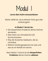 HuhnWohl Coaching