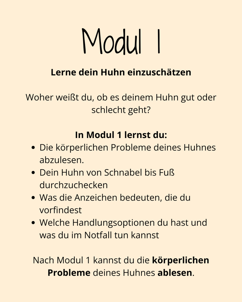 HuhnWohl Coaching