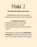 HuhnWohl Coaching