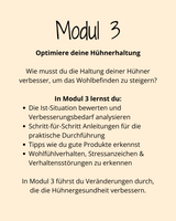 HuhnWohl Coaching