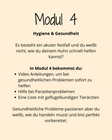 HuhnWohl Coaching