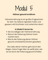 HuhnWohl Coaching