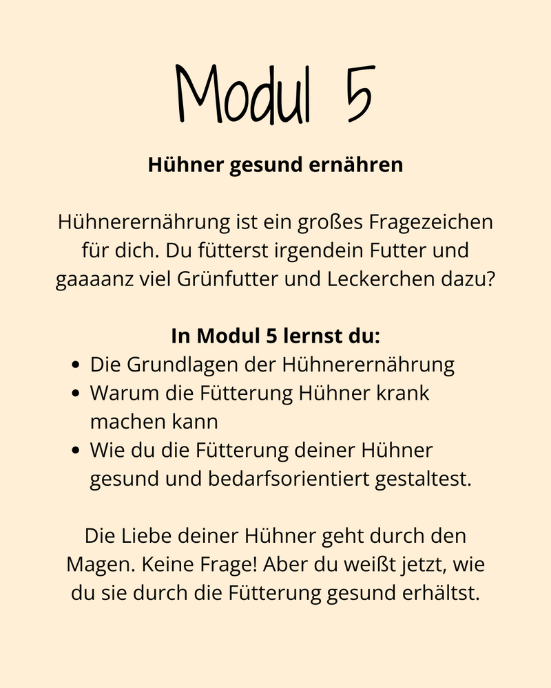 HuhnWohl Coaching