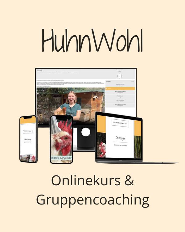 Huhn Wohl Onlinekurs und Gruppencoaching für fortgeschrittene Hühnerhaltung.