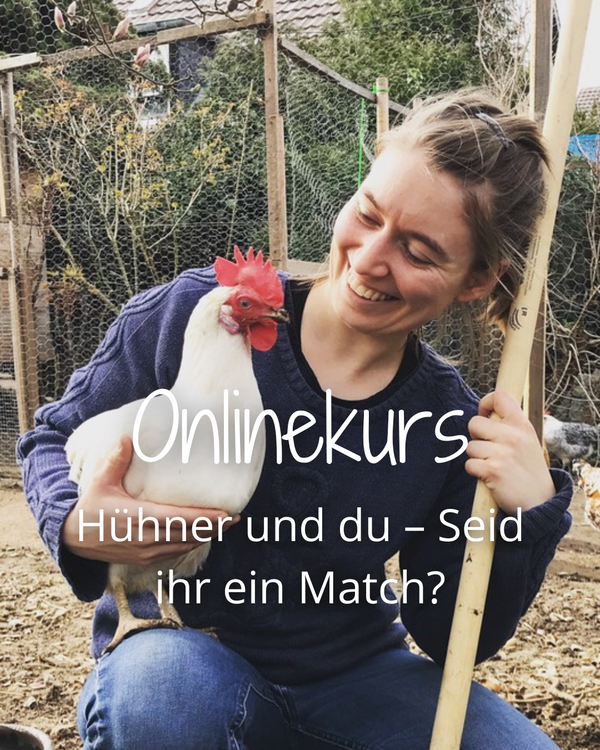 Onlinekurs für Anfänger mit dem Thema Hühner und du, seid ihr ein Match.