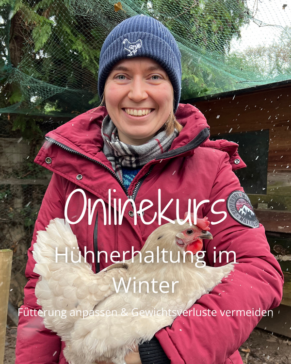 Onlinekurs Hühnerhaltung im Winter mit Fokus auf die Fütterung von Hühnern