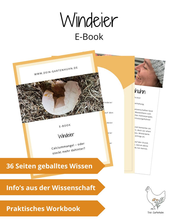 Windeier Ursachen und Tipps bei Problemen in einem E-Book von Dein Gartenhuhn.